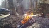 Самосуд над николаевскими мажорами: "насильников подожгли" у прокуратуры. ФОТОрепортаж