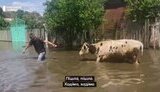 херсон