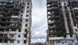 бородянка