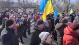 москва,протест