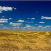 Вирон Виронович