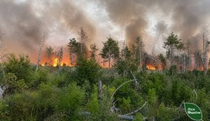 Российские FPV-дроны атаковали пожарных во время тушения лесного пожара в Херсонской области: огонь охватил 27 гектаров. ФОТО