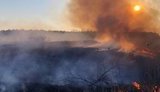 Рятувальники продовжують гасити пожежу в зоні ЧАЕС: горить трав