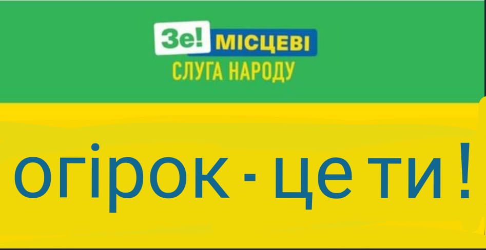 Зе!выборы
