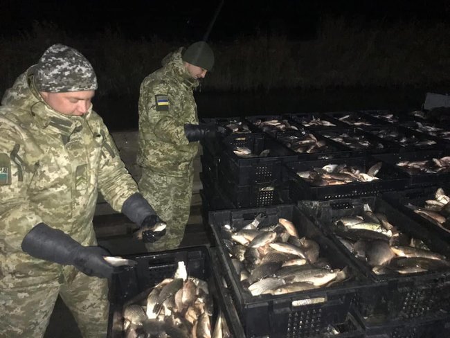 Браконьеров с 4 тоннами карпа и карася поймали на Одесчине 02