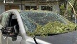 миколаїв