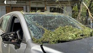 миколаїв