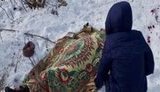 авдеевка