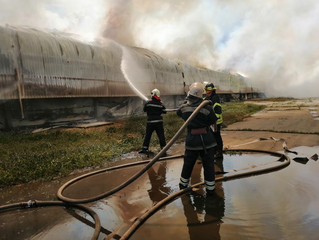 Масштабна пожежа спалахнула на птахофабриці у Василькові, вогонь охопив 15 тис. кв. м, - ДСНС 04