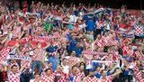Оголошено збір коштів на виплату штрафу в 15 тисяч франків, який FIFA нарахувала Вукоєвичу