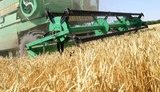 Сельхозпроизводство в 2020 году сократилось на 12%, – министр