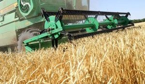 Сельхозпроизводство в 2020 году сократилось на 12%, – министр