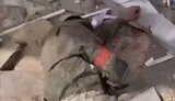 окупант,хороший