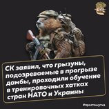 Так и було