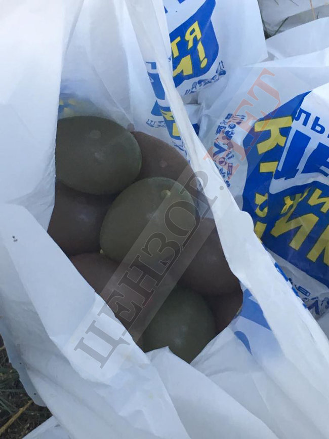Противники КиївПрайду готували провокацію з фекаліями і презервативами, - Крищенко 01
