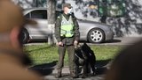 Правопорядок 9 травня забезпечують понад 12,5 тис. правоохоронців на території всієї країни, - Нацполіція. ФОТОрепортаж