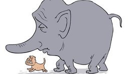 Общественное мнение