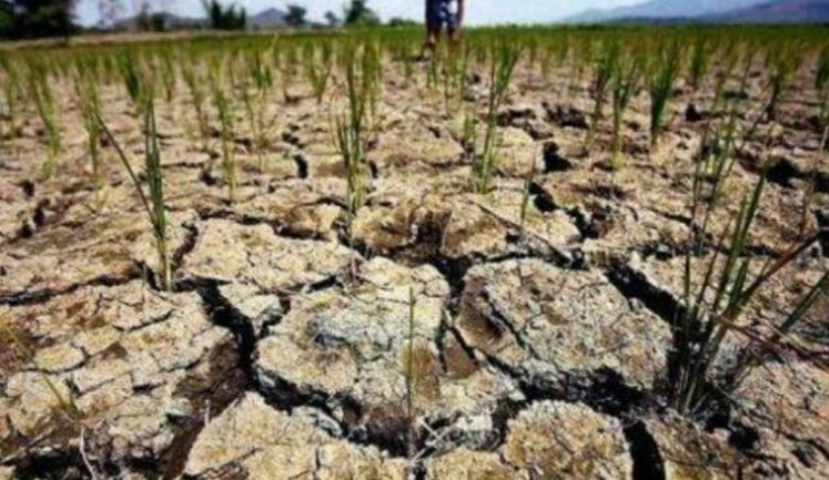 Кабмін змінив методику оцінки земель через наслідки підриву Каховської ГЕС, – Свириденко