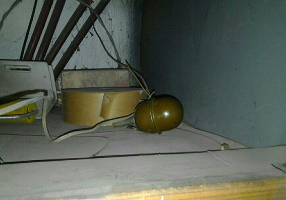 граната