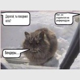 Психология ватника