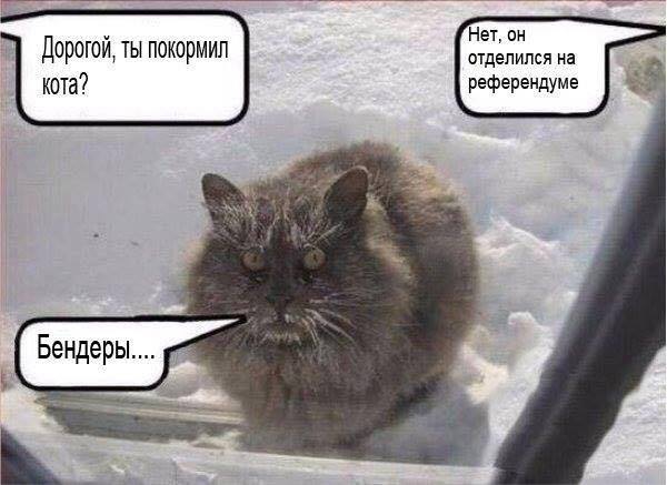 Психология ватника