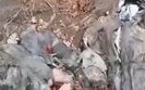 Bodies of Russians lying in forest belt