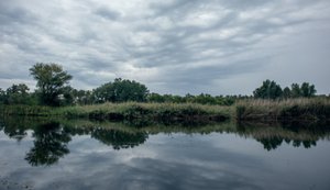 Перебування цивільних тимчасово заборонили у районі плавнів Запорізького району