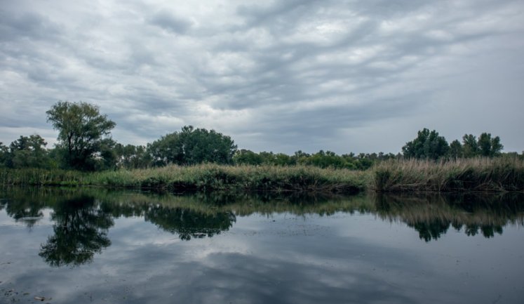 Перебування цивільних тимчасово заборонили у районі плавнів Запорізького району