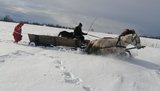 Телега вместо скорой: 14-летнюю пациентку на Житомирщине медикам пришлось доставить на повозке с двумя конями. ФОТОрепортаж