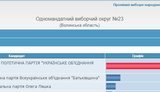 цик довыборы