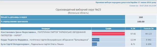 цик довыборы
