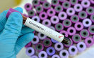 Government approves action plan to prevent coronavirus - Honcharuk