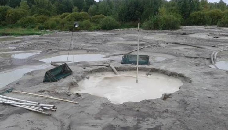 СБУ пресекла незаконную добычу янтаря на границе Волынской и Ривненской областей. ФОТОрепортаж