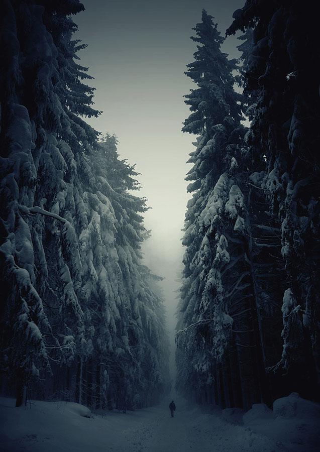 Цензор.НЕТ Изображение