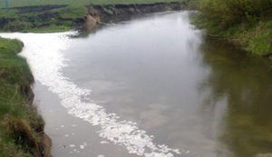 іква