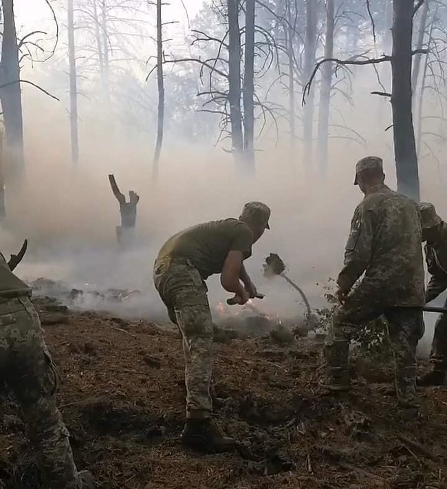 В Луганской области масштабные пожары леса, погибли 4 человека 08