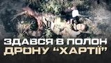 війна