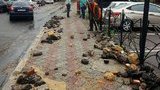 Двомісячна норма опадів випала за два дні в Одесі, - міськрада. ФОТОрепортаж