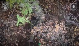 Українські бійці ліквідували двох окупантів в лісосмузі