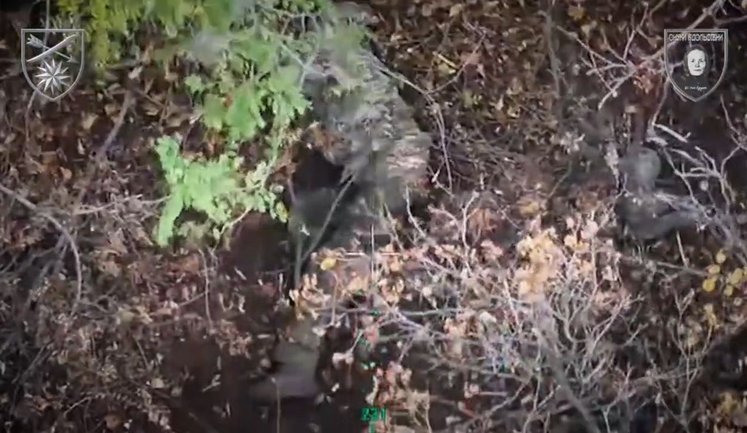Голодний окупант шукав ягоди, інший чекав на дрон - бійці 66-та ОМБр ліквідували обох загарбників. ВIДЕО