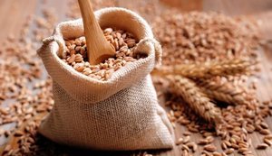 Світові ціни на пшеницю злетіли до максимуму за два роки на тлі ескалації у Чорному морі