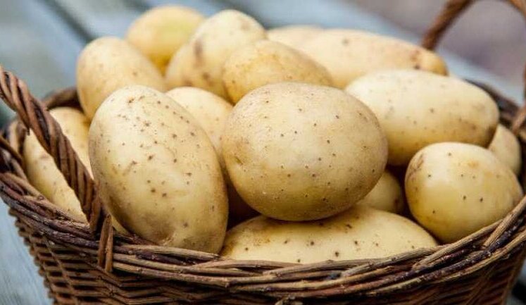 Ukraine starts importing potatoes from Europe