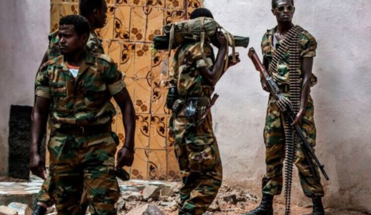 Due to shortage of Ukrainian grain in Africa, new wars will break out, - Italian Foreign Minister Di Mayo said