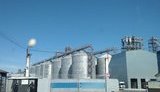 налоговики сельхозпродукция