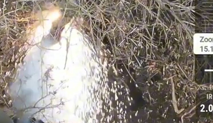 Occupier flashed brightly on battlefield due to detonation of his own RPG. VIDEO