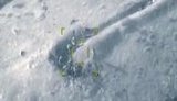 Штурмовик Су-25 ВВС Азербайджана разбомбил армянскую позицию, а второй бомбой добил всех, кто прибежал на помощь раненым. ВИДЕО