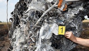 ДБР про розслідування адіння літака на Одещині
