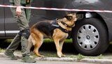У Києві знову замінували низку будівель