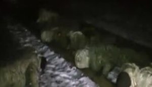 #BlokadaChallenge: 58th Brigade soldiers encourage SBU to ‘stop 22 profiteers’ trains’. VIDEO