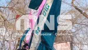 Легкомоторный самолет упал в Подмосковье: вероятно, российская ПВО перепутала его с дроном и сбила. ФОТО